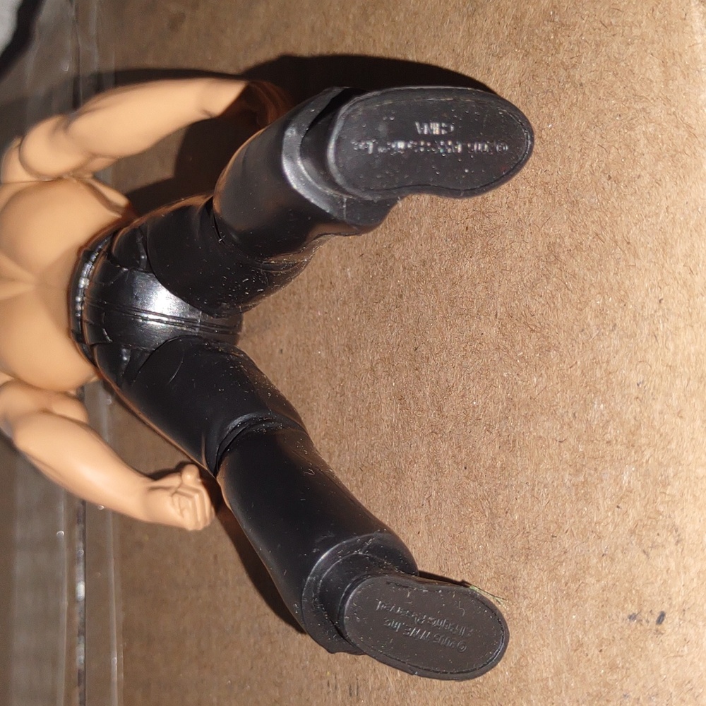 2005 WWE Matt Hardy Action Figure Jakks Pacific Black Pants - Picture 7 of 8